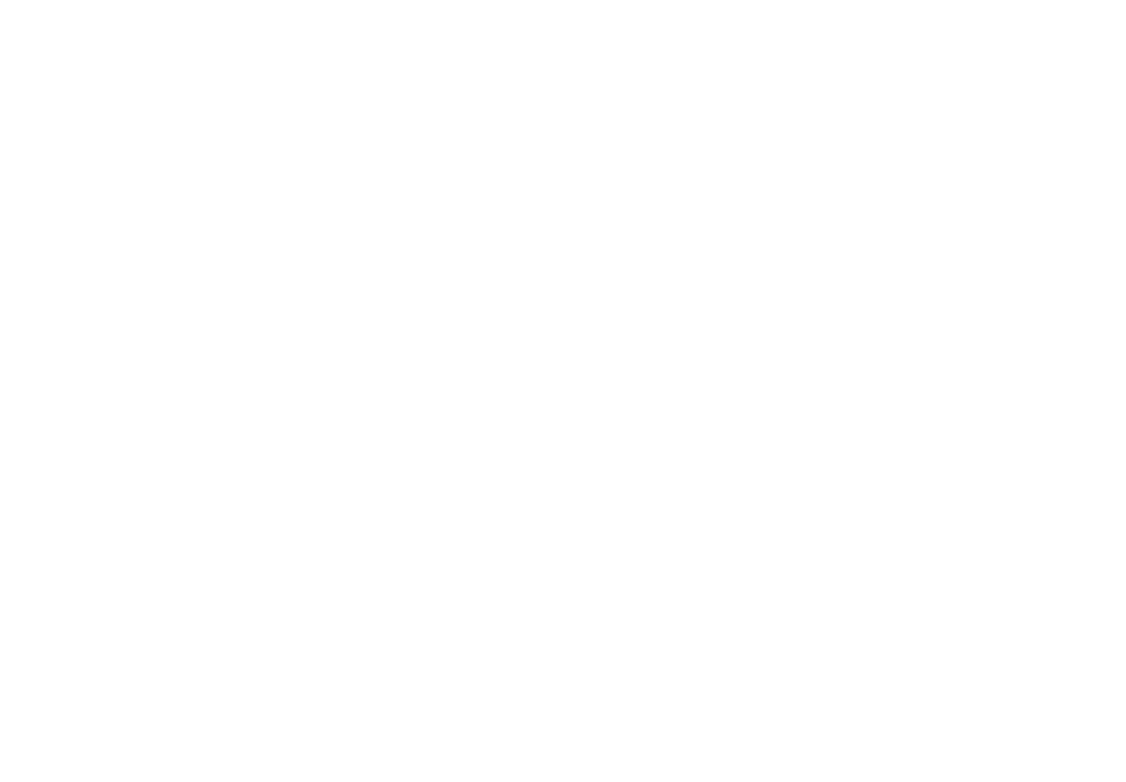Logo NFI